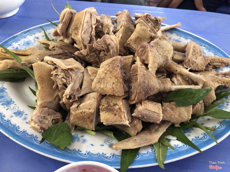 Vịt