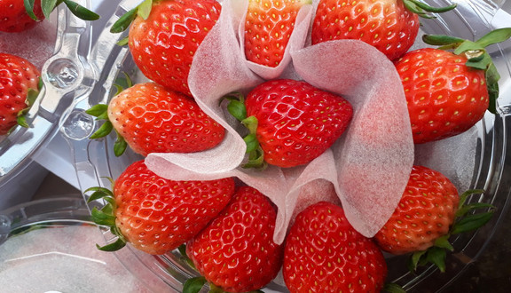 Dinfruit - Hoa Quả Nhập Khẩu - Trung Kính