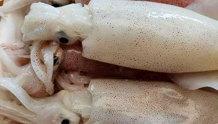 Vựa Hải Sản Ngọc Anh - Đường Số 4