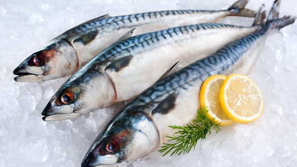 Hải Sản Sạch - 30 Tháng 4