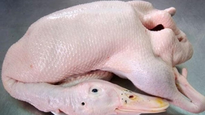 Gia Hân - Gà Sạch & Vịt Sạch - 30 Tháng 4