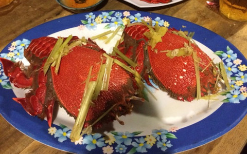 Quãng ngãi