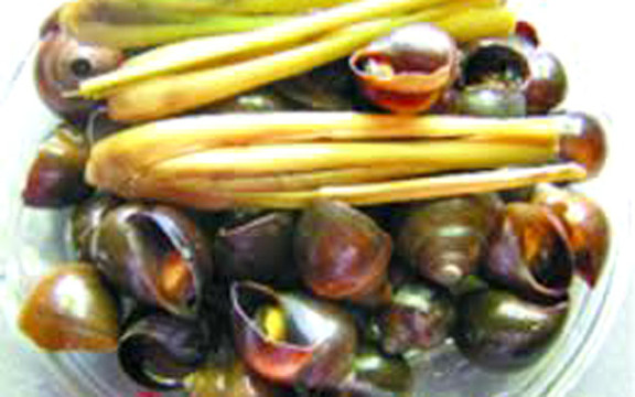 Ốc 154 - Tuệ Tĩnh