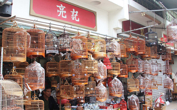 Yuen Po Street Bird