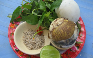 Don Quảng Ngãi