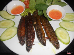 Cá chạch đồng nướng muối ớt