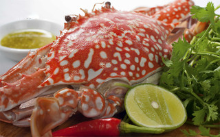 Bánh canh cá dầm