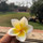 Lưu Nam