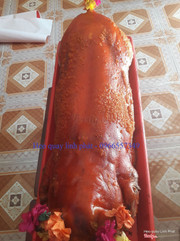 Heo quay nguyên con lớn - 0966557349