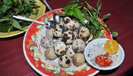 Thọ Môn - Ốc Nóng & Trứng Cút Lộn