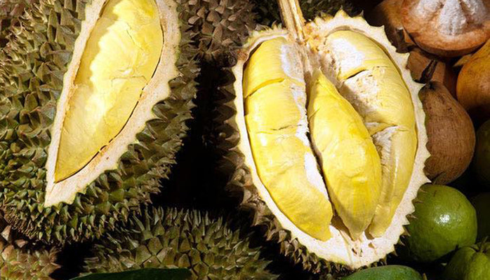 Sầu Riêng 9 Phẻ - Dương Bá Trạc