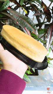 japan cheesecake- Bông lan phô mai nhật