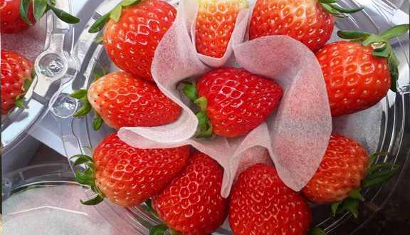 Dinfruit - Hoa Quả Nhập Khẩu - Giang Văn Minh