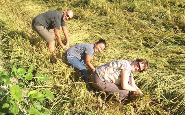 Eco Tour - Hai Bà Trưng