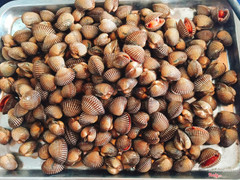Sò huyết
