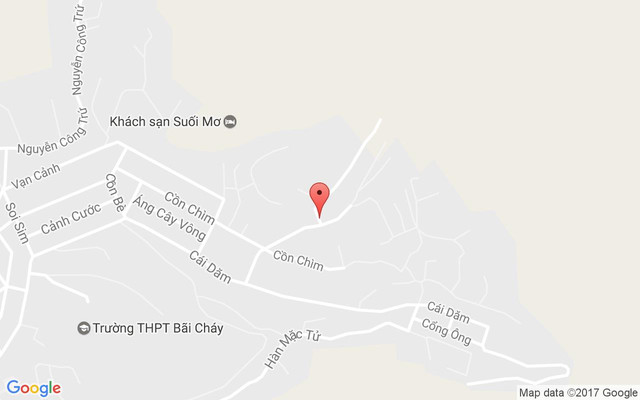 Bãi Tử Long Resort