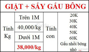 Gấu cưng nà