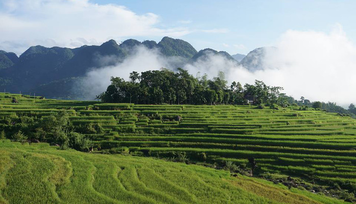 Hoanh Homestay - Pù Luông