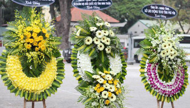 Hồng Hạnh - Hoa Tang Lễ