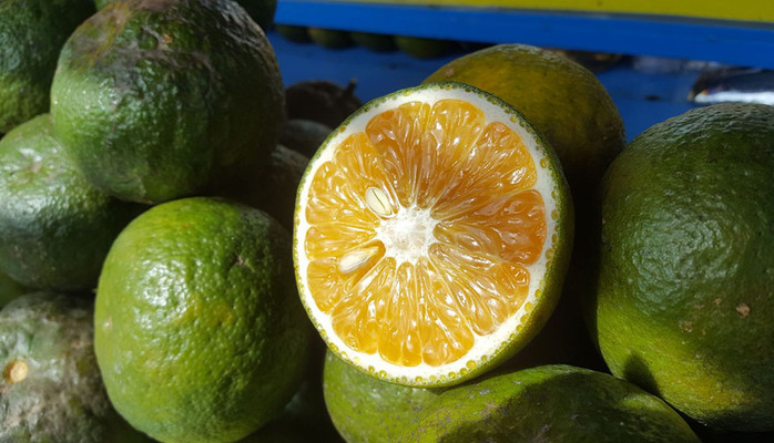 Trái Cây & Nước Ép Sơn