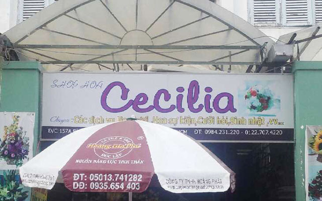 Shop Hoa Cecilia