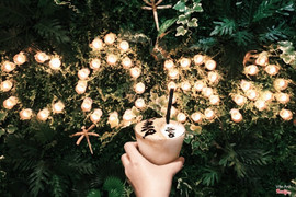 Càe Sữa Dừa tại cafe Cô Ba, béo ngậy thơm ngon của sự hoà nguyện của cafe, nước cốt dừa. Nhìn vừa đẹp mắt lại vừa ngon