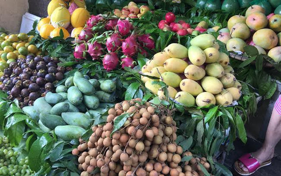 Cửa Hàng Hoa Quả - Nhân Hòa