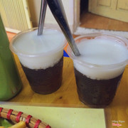 thạch rau câu