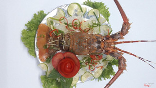 Tôm hùm sashimi