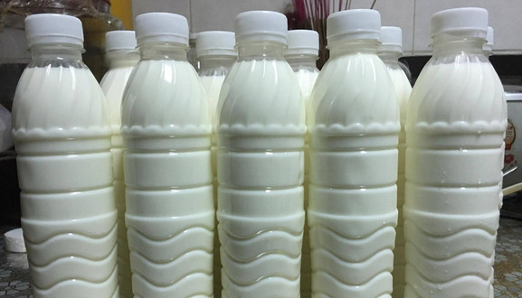 Sữa Bò Tươi