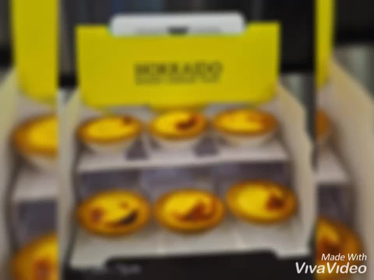 Hokkaido Baked Cheese Tart -***