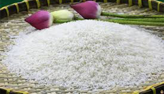 Gạo Trường Sơn