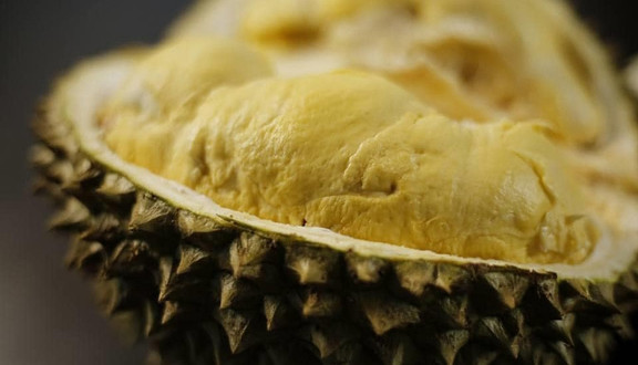 Durian House - Sầu Riêng Ngon