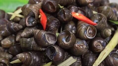 Hoài Linh - Ốc Nóng