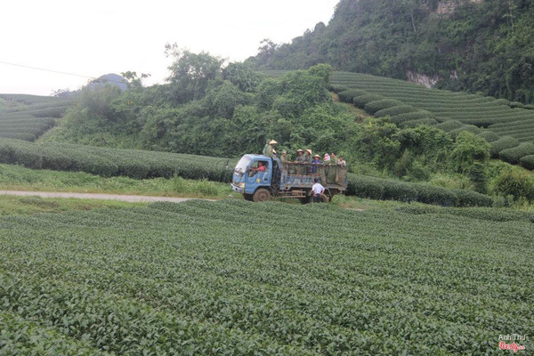 Những người nông dân bắt đầu một ngày lao động mới