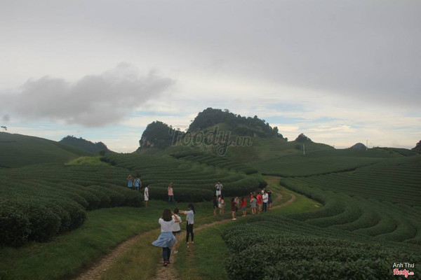 Chen chúc tự sướng