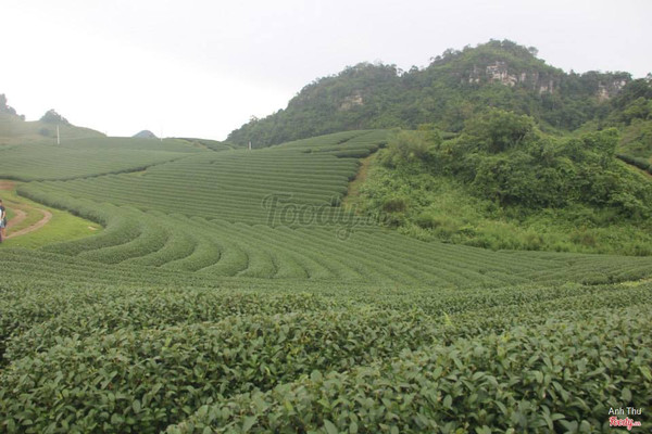 Xa mãi tận nơi chân trời