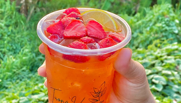 Tường Vi Milk Tea - Trà Sữa, Trà Trái Cây - Viba