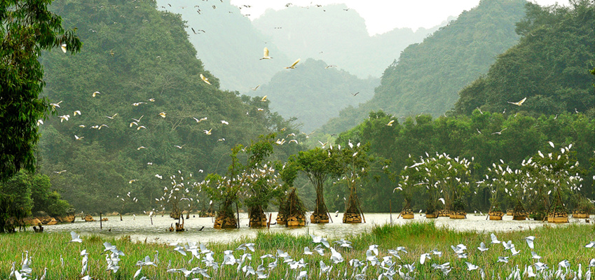 Khu Bảo Tồn Thiên Nhiên Vân Long