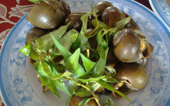 Quán Nhậu Nông Dân - Nguyễn Văn Linh