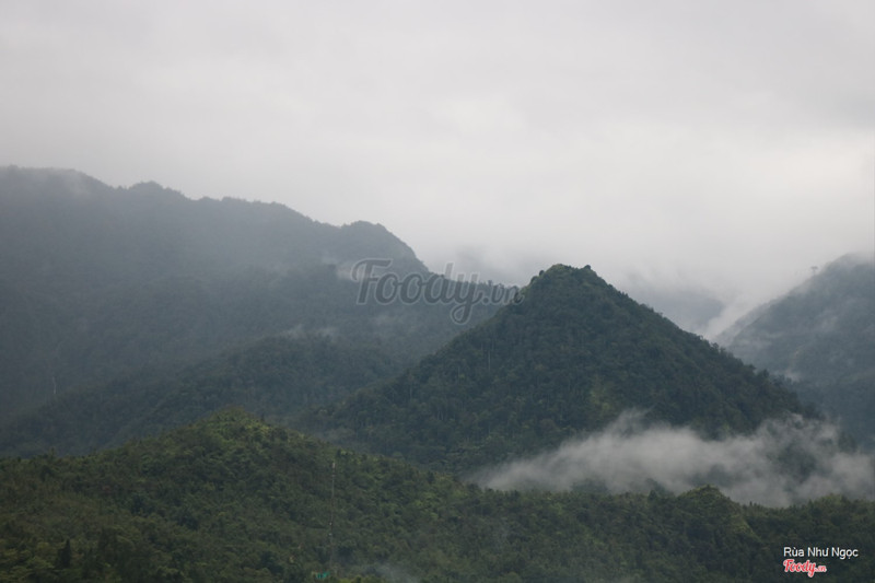 View từ Gem Valley Coffee