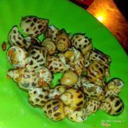 Ốc hương dĩa thứ 2