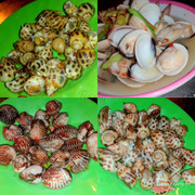 4 dĩa như hình chỉ 80k 