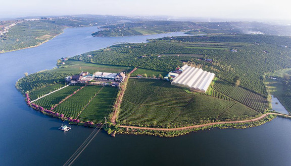 Long Đỉnh Organic Tea - Farm & Resort