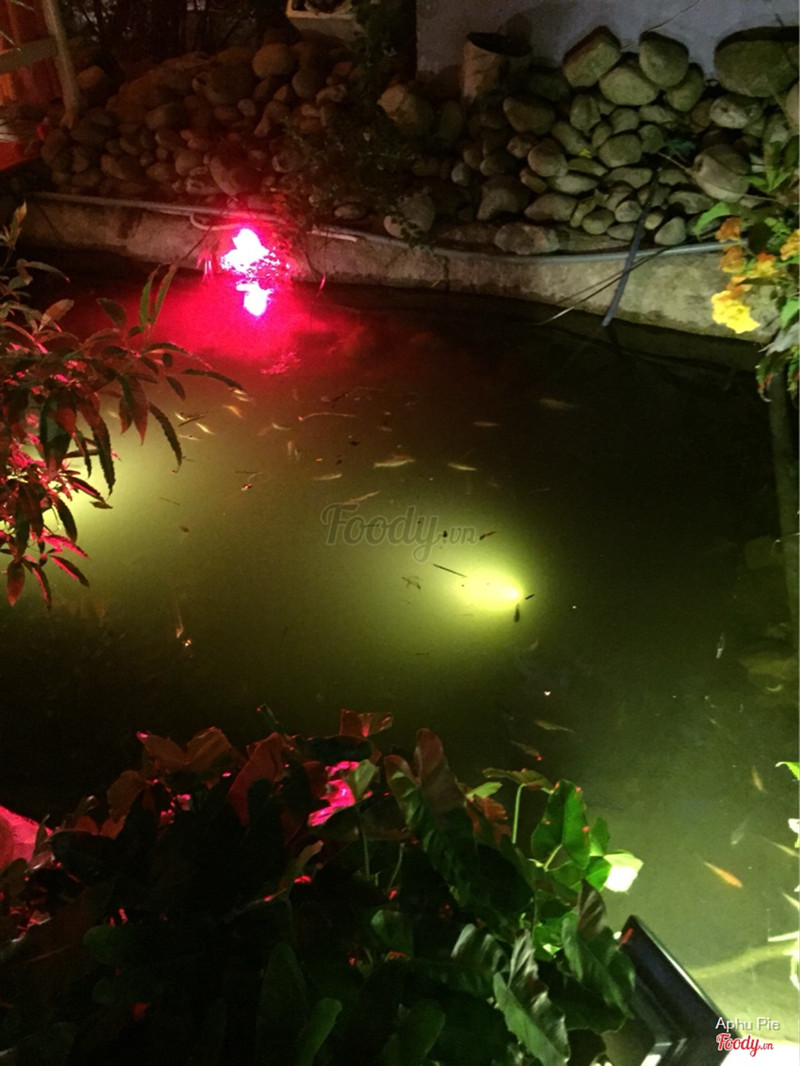 đằg sau phía trong quán