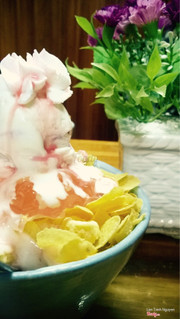 Patbingsoo việt quất