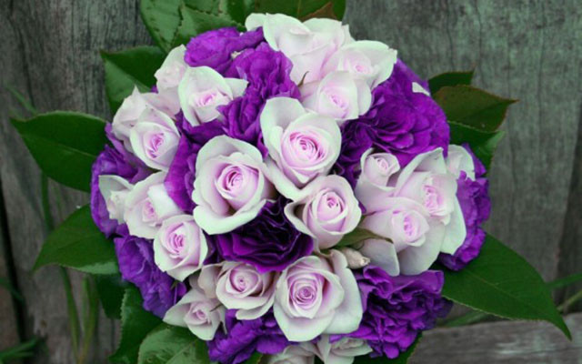 S&J Flowers - Nguyễn Hồng Đào