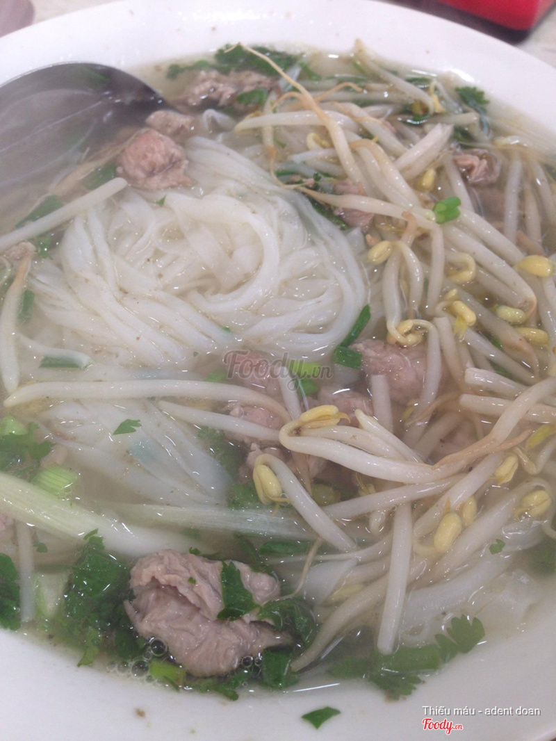 phở bò