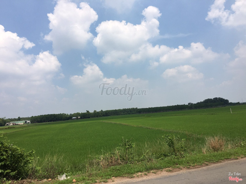 Đường Nguyễn Thị Rành