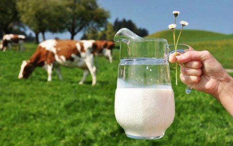 Hòa Bình - Sữa Dê & Sữa Bò